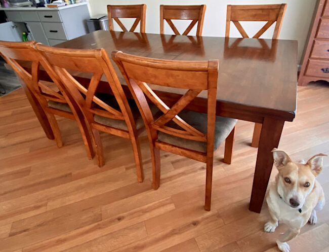 ダイニングテーブルと犬