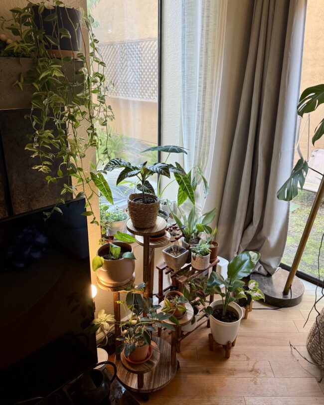 プランターシェルフ