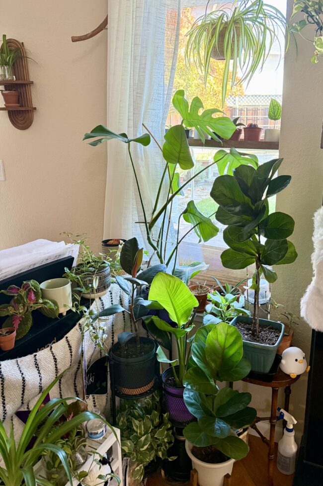 アイアンプランターシェルフ